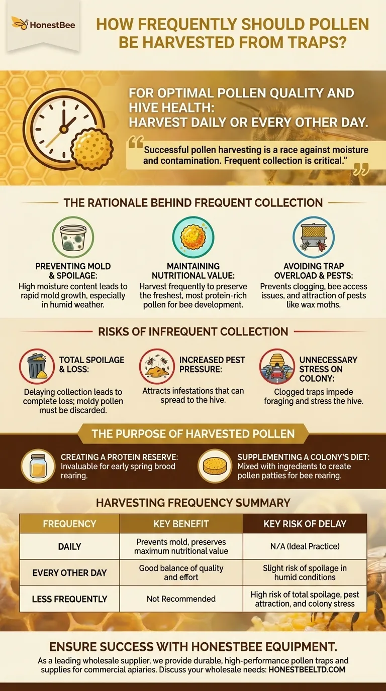 꽃가루 채집통에서 꽃가루를 얼마나 자주 수확해야 합니까? 품질과 벌통 건강 최적화 시각적 가이드