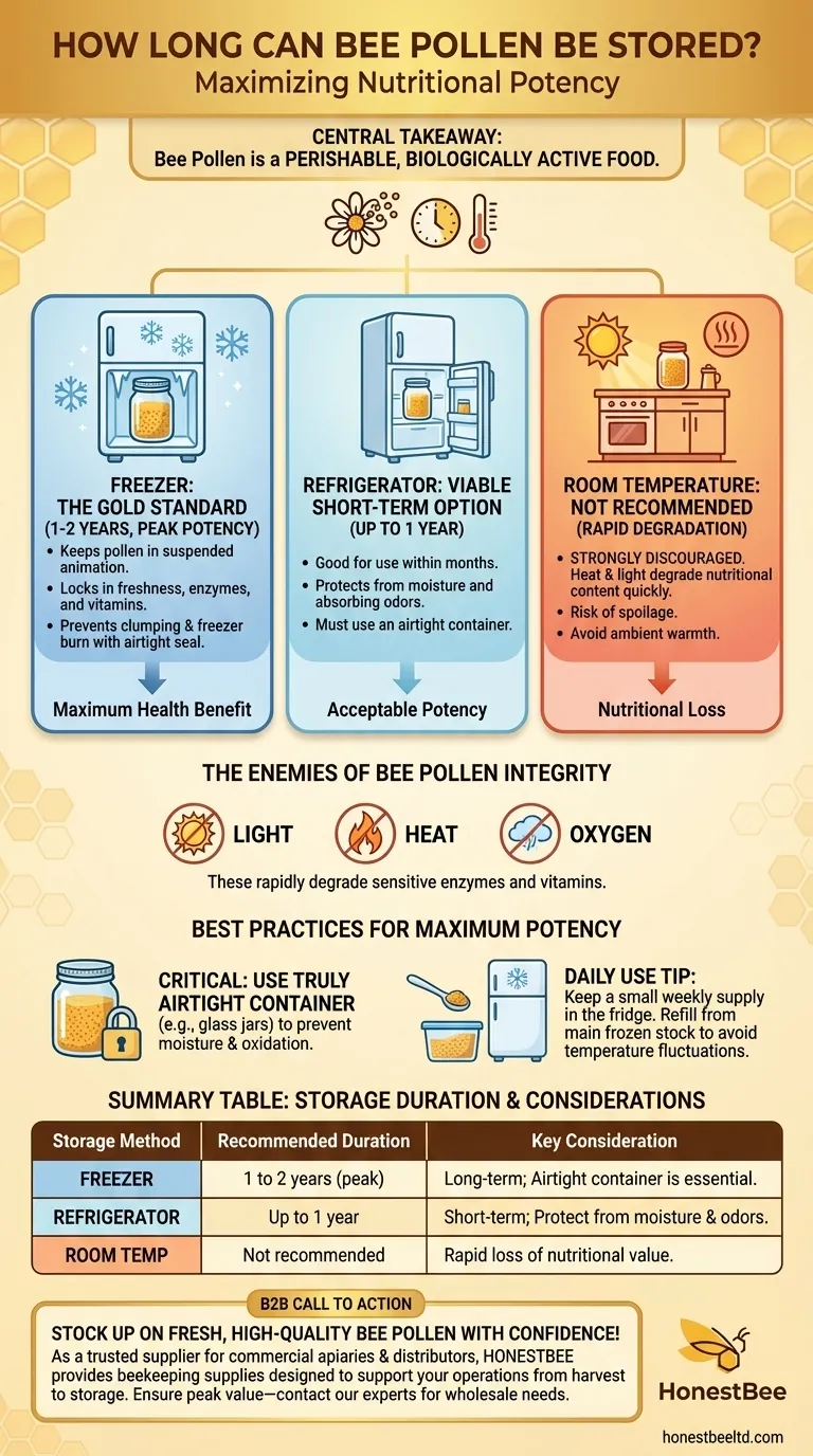 Por quanto tempo o pólen de abelha pode ser armazenado? Maximizando a Frescura e a Potência Nutricional Guia Visual