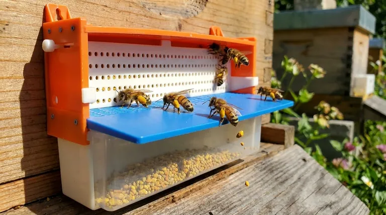 What is a pollen trap and how does it work? A Guide to Harvesting Bee Pollen