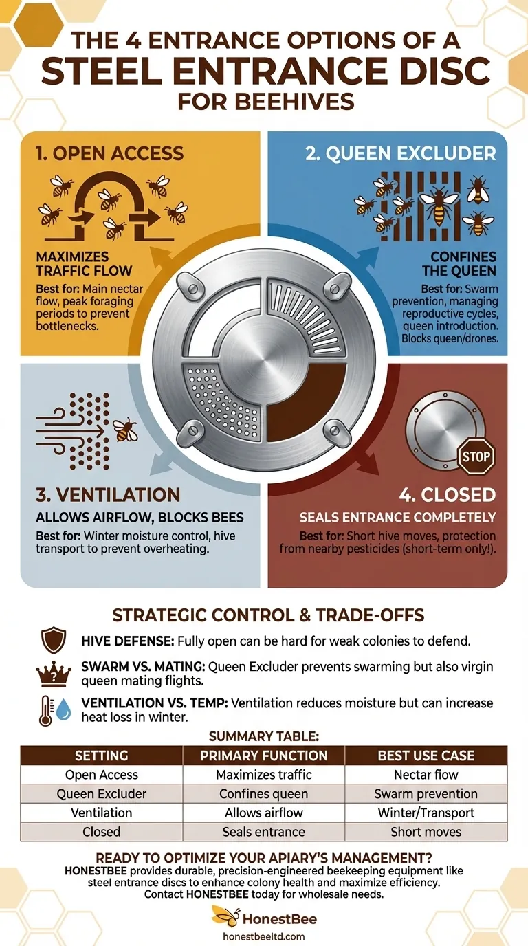 What are the four entrance options provided by the steel entrance disc? Master Hive Traffic & Protection Visual Guide