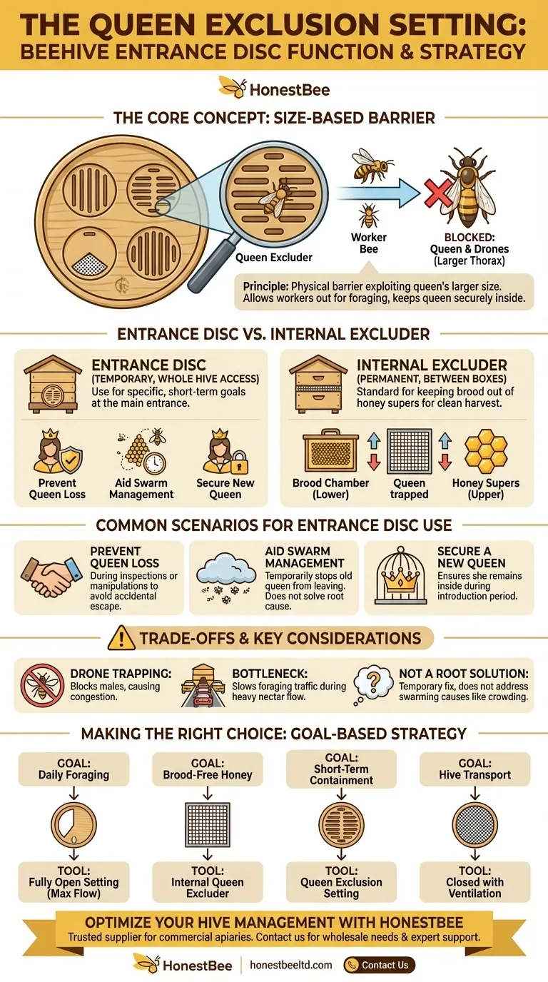 What is the function of the queen exclusion setting on a round beehive entrance disc? Control Queen Movement for Hive Health Visual Guide