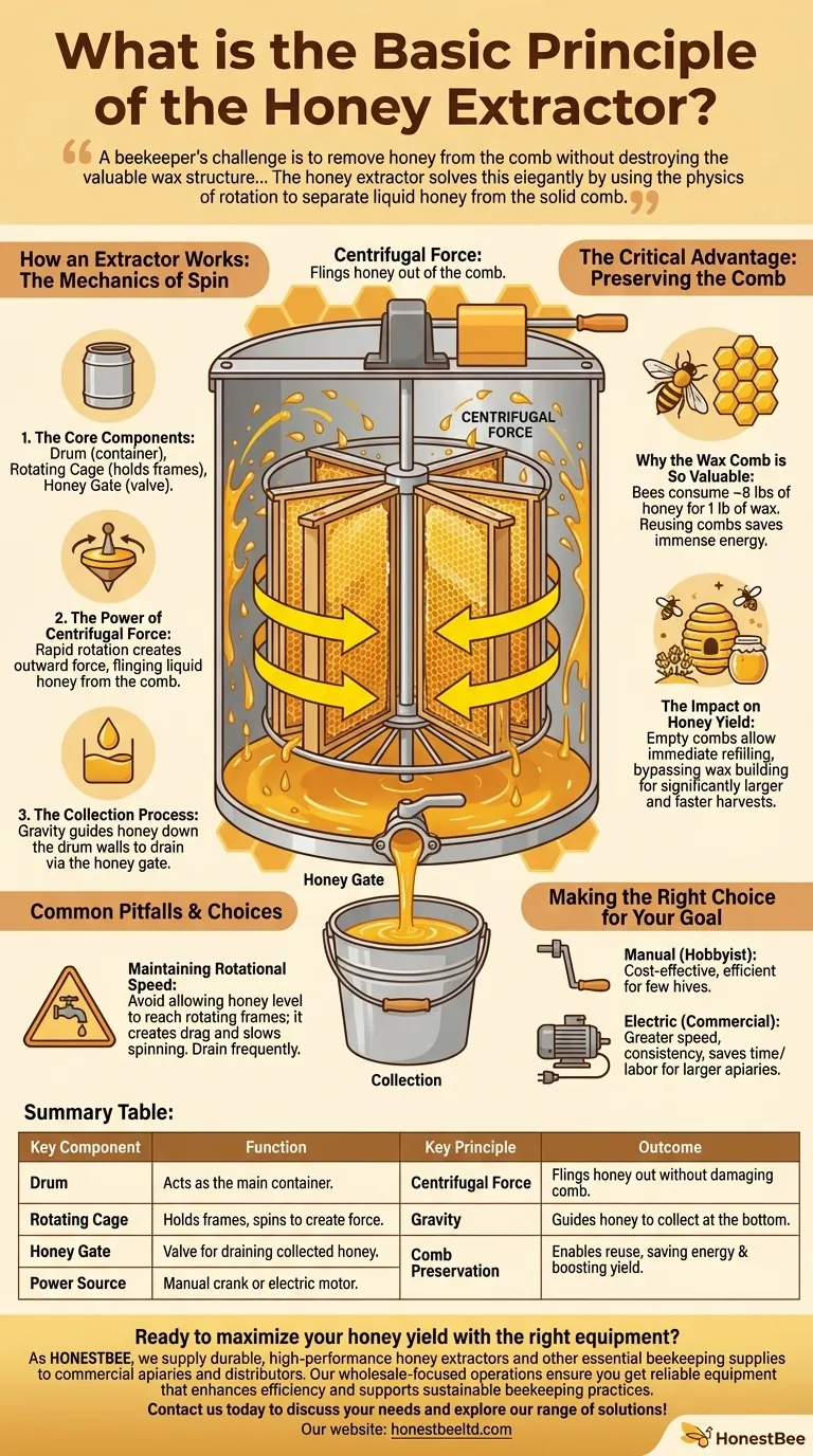 Qual è il principio di base dello smielatore? Sfruttare la forza centrifuga per un raccolto efficiente Guida Visiva