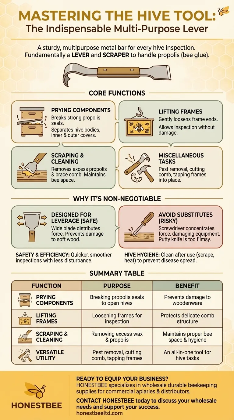 What are hive tools used for in beekeeping? Essential Gear for Efficient Hive Management Visual Guide