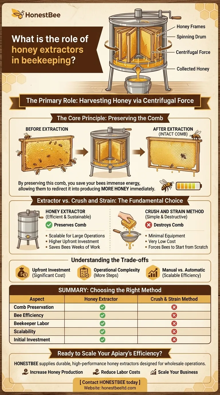 What is the role of honey extractors in beekeeping? Maximize Honey Yield & Colony Health Visual Guide