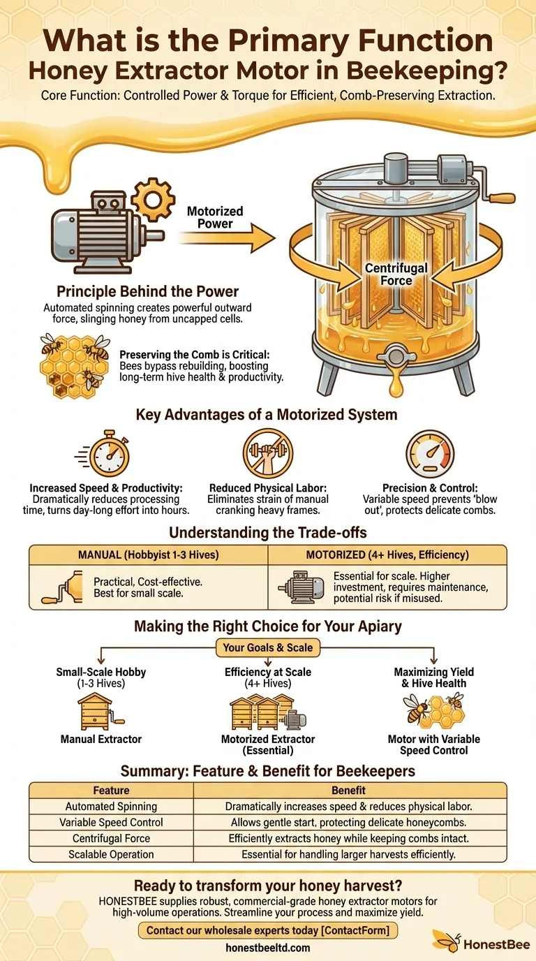 What is the primary function of a honey extractor motor in beekeeping? Boost Efficiency & Protect Honeycomb Visual Guide