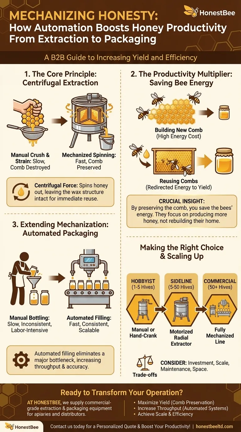 机械化蜂蜜提取过程如何提高生产力？提高产量并节省蜜蜂的能量 图解指南