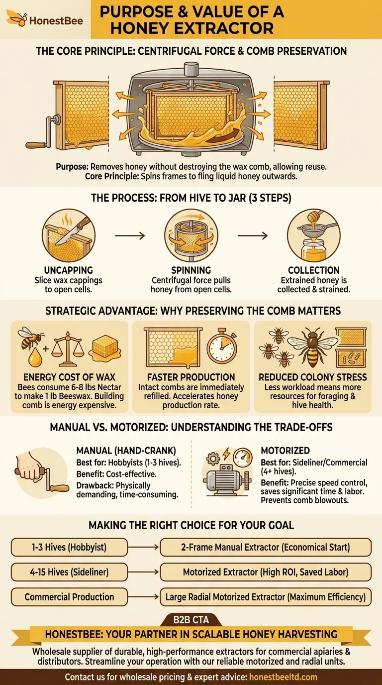 蜂箱中的摇蜜机有什么作用？提高蜂巢生产力和蜂蜜产量 图解指南