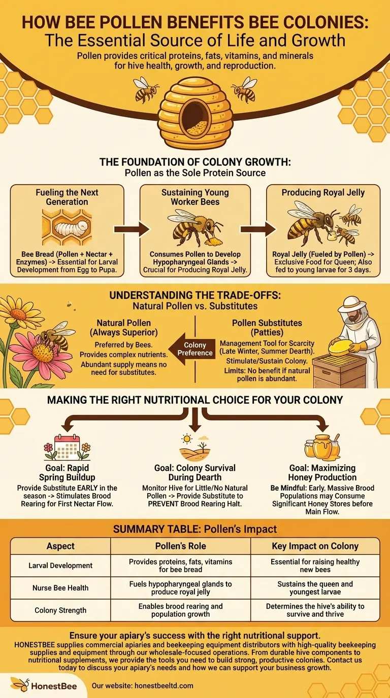 Come il polline d'api beneficia le colonie di api? Il carburante essenziale per la crescita e la sopravvivenza dell'alveare Guida Visiva
