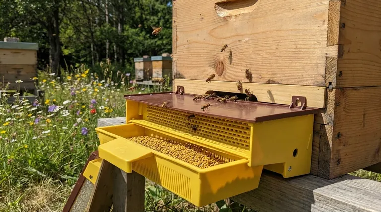잘 설계된 화분 트랩의 주요 특징은 무엇인가요? 수확 및 벌집 건강 최적화