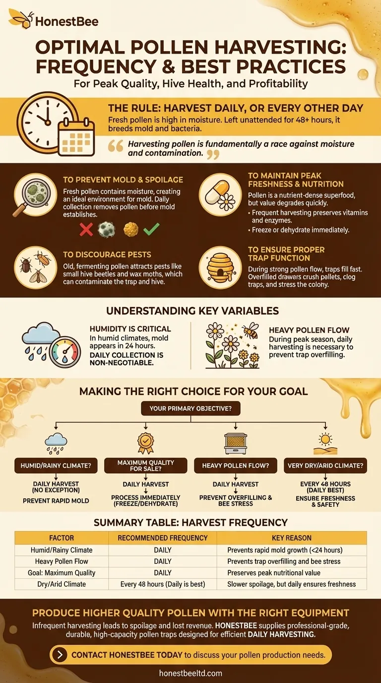 كم مرة يجب حصاد حبوب اللقاح من المصائد؟ ضمان صحة الخلية المثلى والجودة الفائقة دليل مرئي