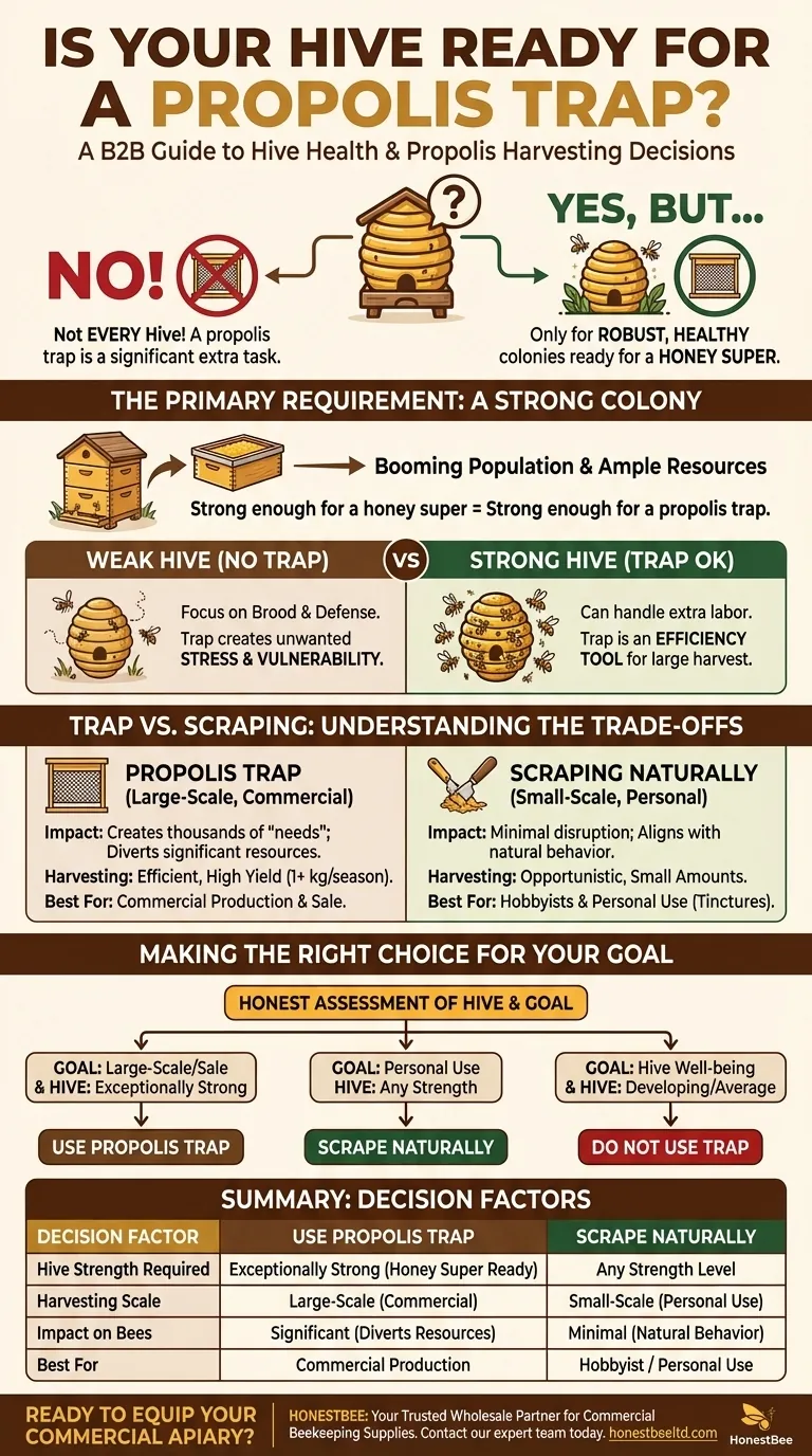 어떤 벌통이든 프로폴리스 트랩을 설치할 수 있나요? 벌집이 충분히 강한 경우에만 가능합니다. 시각적 가이드