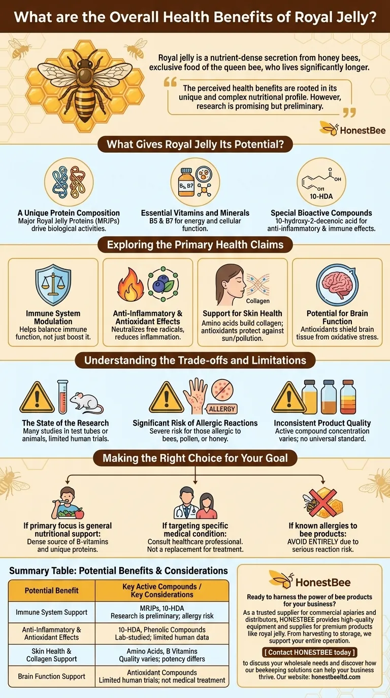What are the overall health benefits of royal jelly? Unlock the Potential of This Bee Superfood Visual Guide