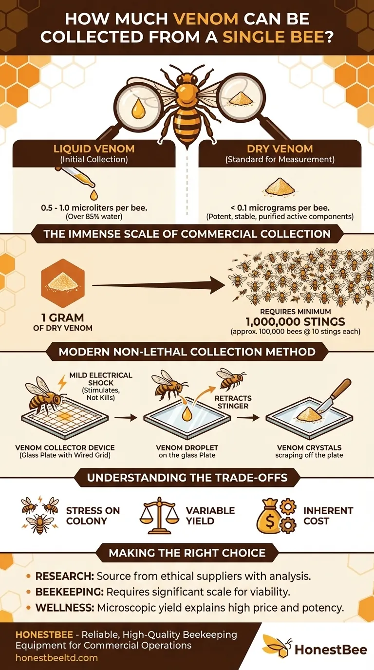 How much venom can be collected from a single bee? A Microscopic Yield of Immense Value Visual Guide