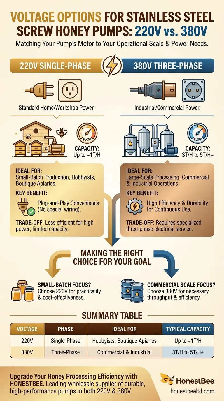 Quali opzioni di tensione sono disponibili per le pompe per miele a vite in acciaio inossidabile? Scegli la potenza giusta per la tua scala Guida Visiva
