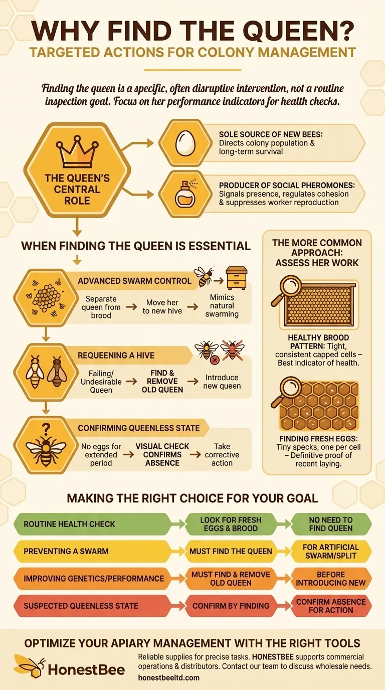 Why might it be necessary to find the queen in a colony? Master Advanced Swarm Control & Requeening Visual Guide