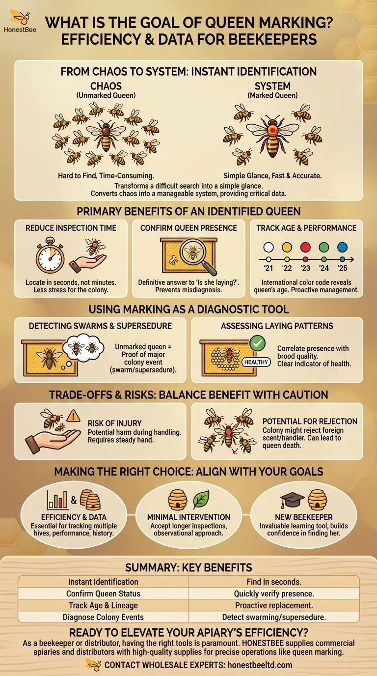 What is the goal of queen marking? Boost Hive Management Efficiency & Colony Health Visual Guide