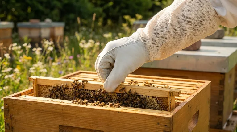 양봉 장갑에 적절한 착용감이 중요한 이유는 무엇입니까? 안전, 민첩성 및 벌 보호를 달성하세요