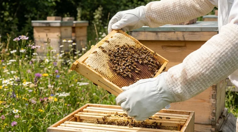 양봉 장갑은 벌 쏘임을 완전히 막아주나요? 벌통 안전과 자신감을 극대화하세요