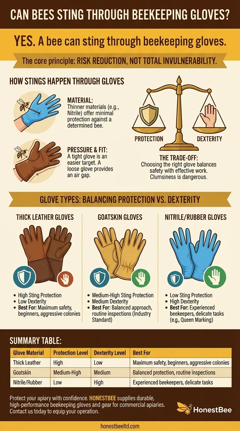 Le api possono pungere attraverso i guanti da apicoltura? Massimizza la sicurezza del tuo alveare con l'attrezzatura giusta Guida Visiva
