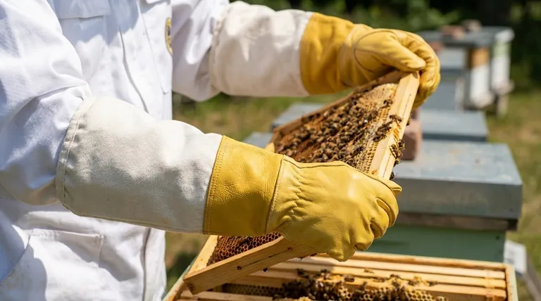 양봉 장갑에서 완전한 덮개가 중요한 이유는 무엇입니까? 손과 팔뚝 전체 보호 달성