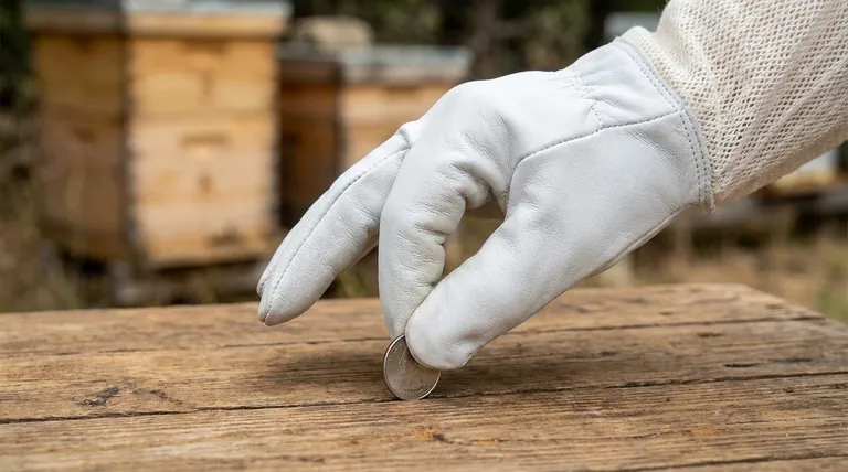 How can you test the fit of beekeeping gloves before purchasing? Ensure Dexterity and Protection