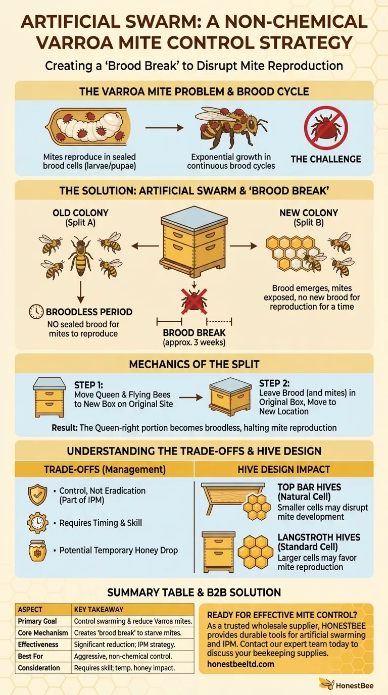 What is an 'artificial swarm' and how does it help with varroa mite populations? A Non-Chemical IPM Solution Visual Guide