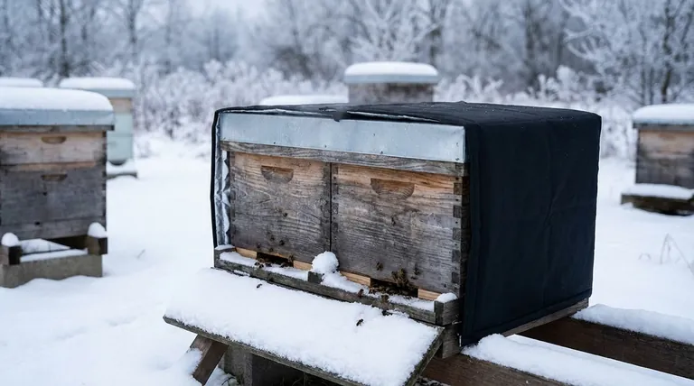 冬季使用双分蜂箱系统的优势是什么?提高蜂场的越冬成功率
