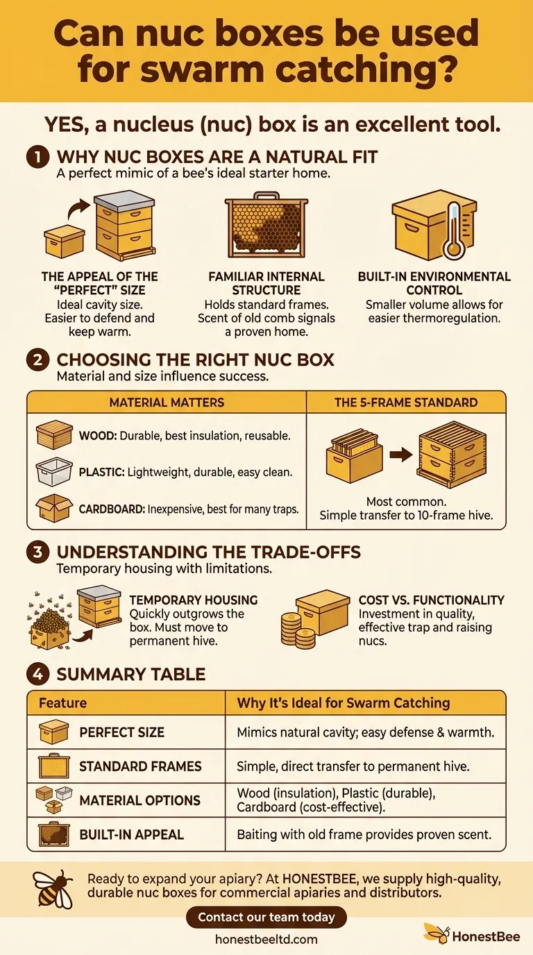 Can nuc boxes be used for swarm catching? The Ideal Starter Home for Honeybee Swarms Visual Guide