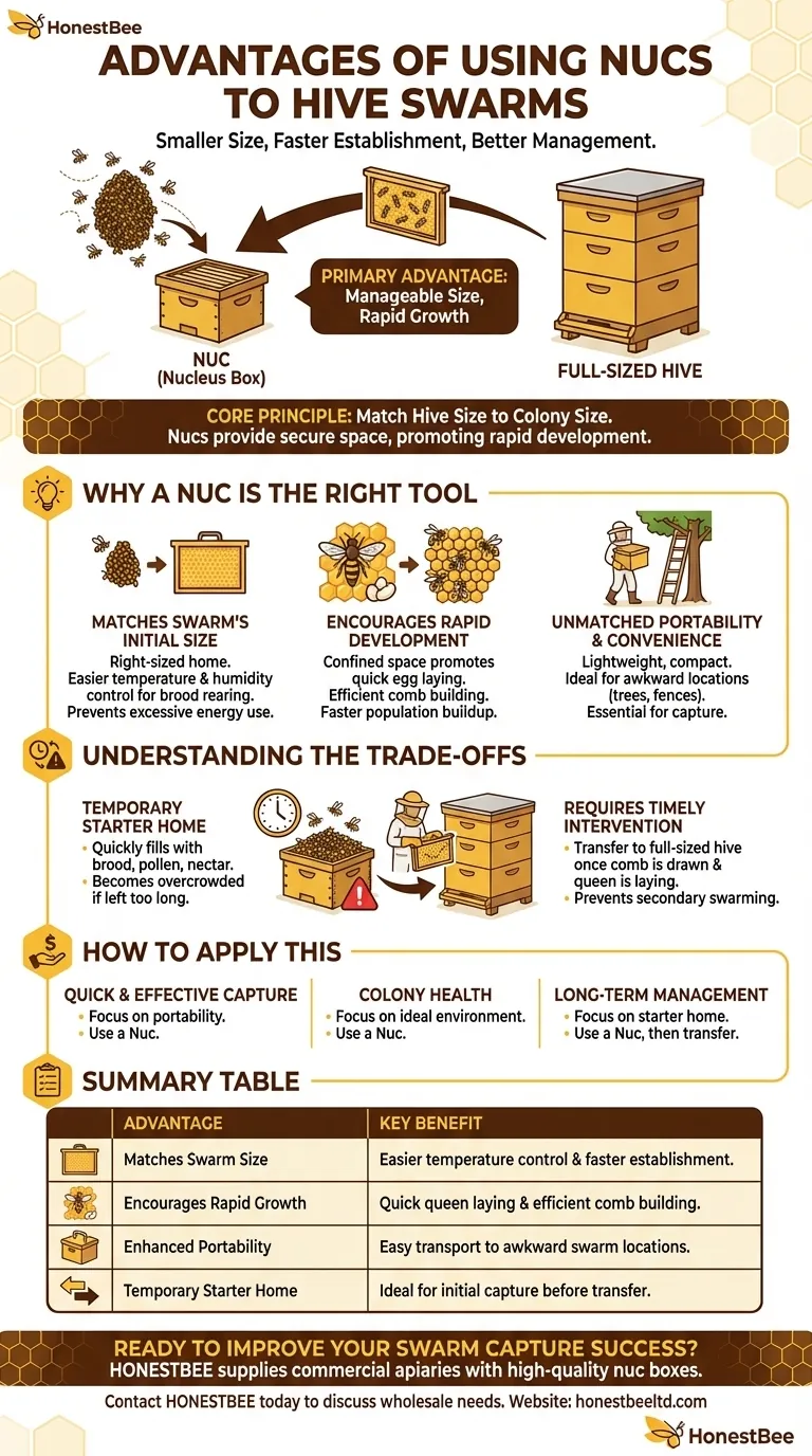 What is the advantage of using nucs to hive swarms? Boost Swarm Capture & Colony Success Visual Guide