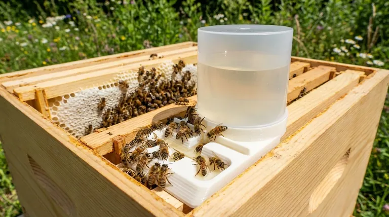 What should a nuc be fed during the period when the new queen is developing? Ensure a Strong Start for Your Colony