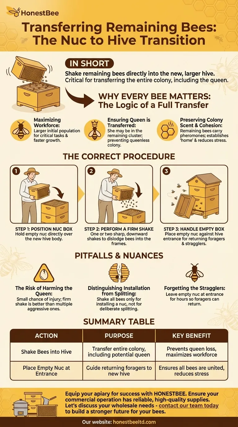 What should be done with the remaining bees in the nuc after transferring frames? Ensure a Successful Colony Transfer Visual Guide