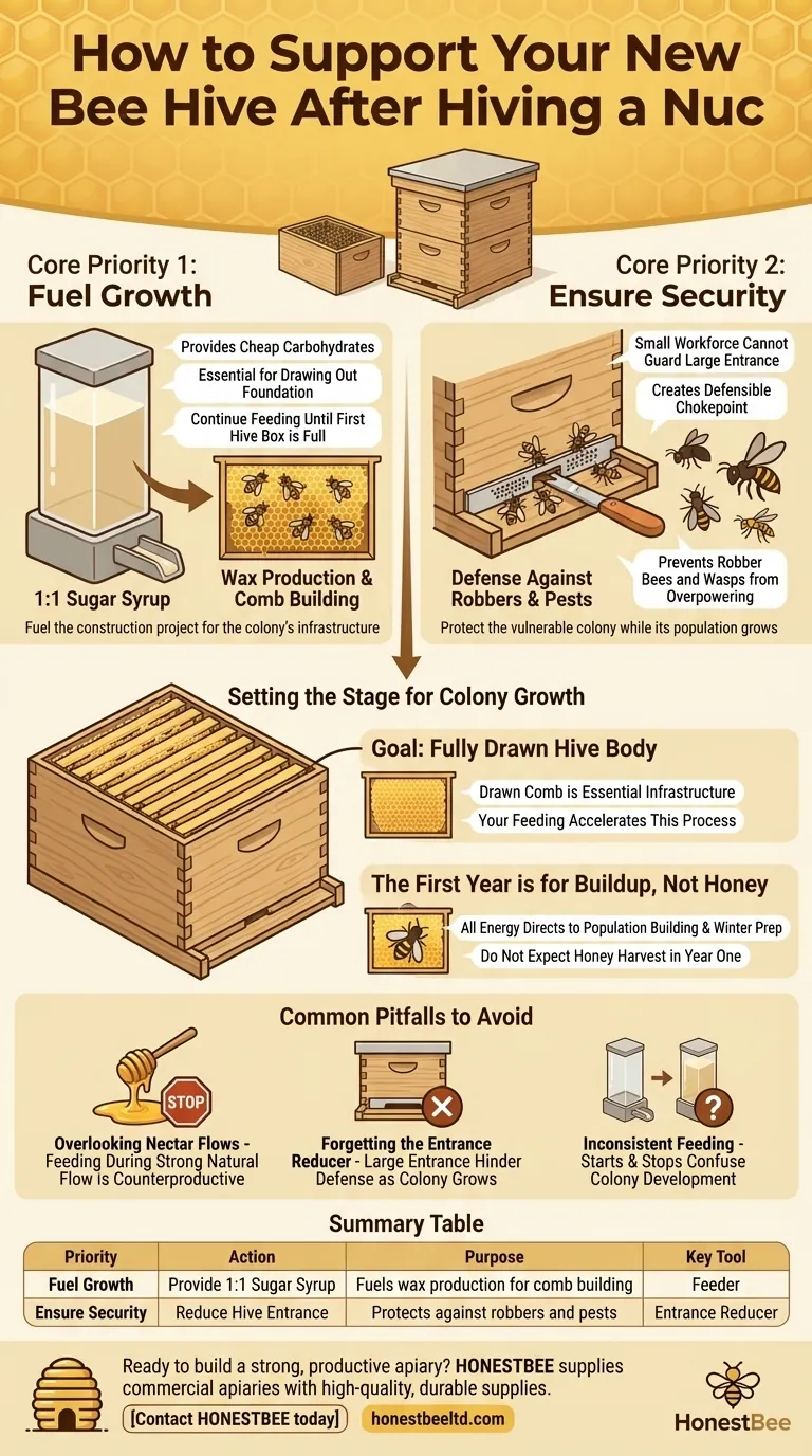 Как следует поддерживать новый улей после пересадки нуклеуса? Обеспечьте процветание вашего нуклеуса с помощью этих критически важных шагов Визуальное руководство