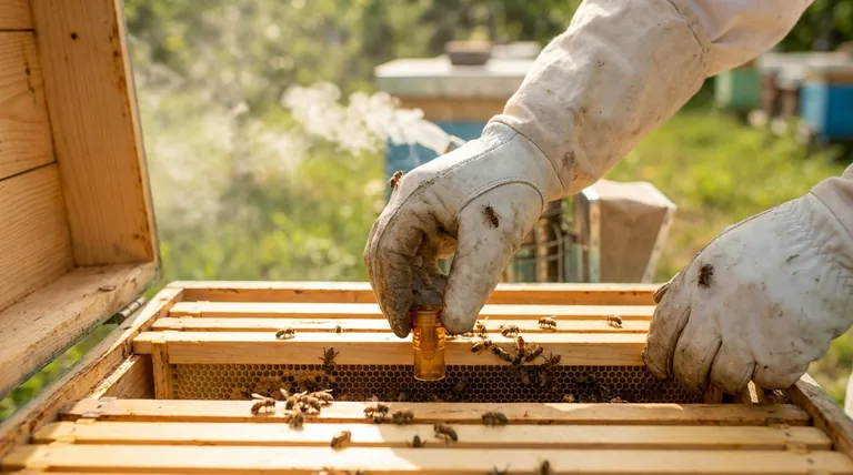 How can a protected queen cell be used to replace a queen in a bad-tempered colony? A Low-Disturbance Requeening Method