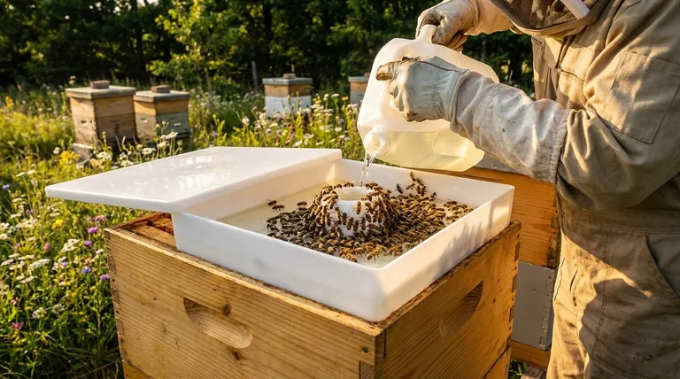 What are the benefits of honey bee feeders? A Strategic Tool for Colony Survival and Growth