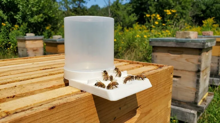 What factors should be considered when choosing a honey bee feeder? Essential Guide for Healthy Colonies