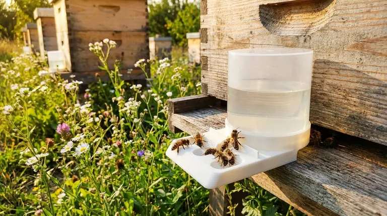 Why are honey bee feeders important? A Strategic Guide to Colony Nutrition & Survival