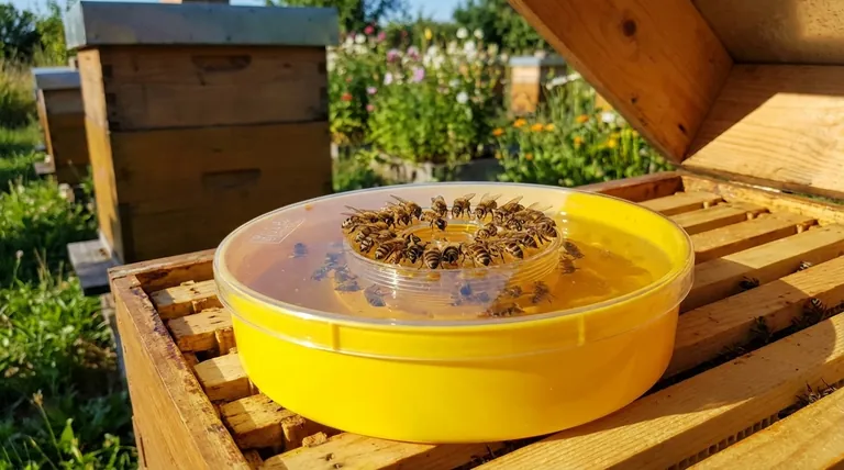 Wofür kann die runde Futterkappe verwendet werden? Ein Leitfaden zur effizienten und sicheren Bienenfütterung