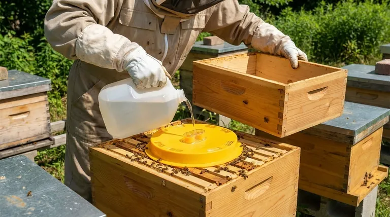 How is the round hive top feeder placed for internal feeding of a single colony? A Step-by-Step Guide