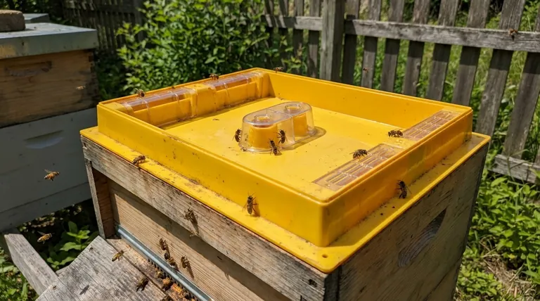 Quel est le but de l'insert dans la mangeoire ronde posée sur la ruche ? Empêcher la noyade des abeilles et assurer un nourrissage sûr