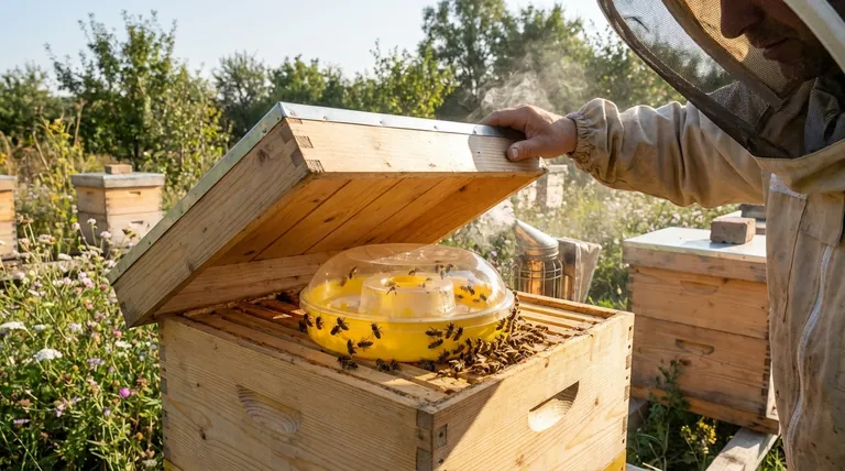 ما هي الاعتبارات الرئيسية عند اختيار نوع المغذي؟ قم بتحسين صحة وإنتاجية خليتك