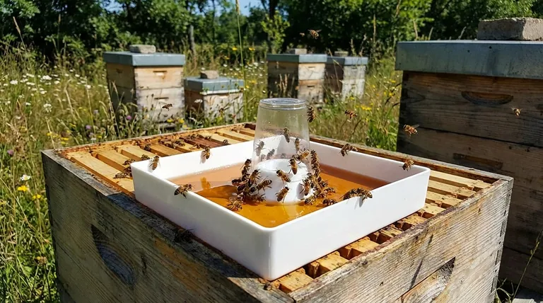 What factors influence the choice of feeder capacity? Match Your Goal for Healthier Hives