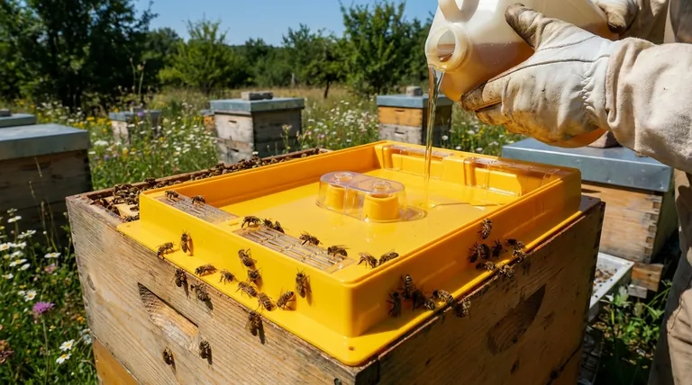 What are the advantages of tray feeders over contact and frame feeders? Maximize Hive Health & Efficiency