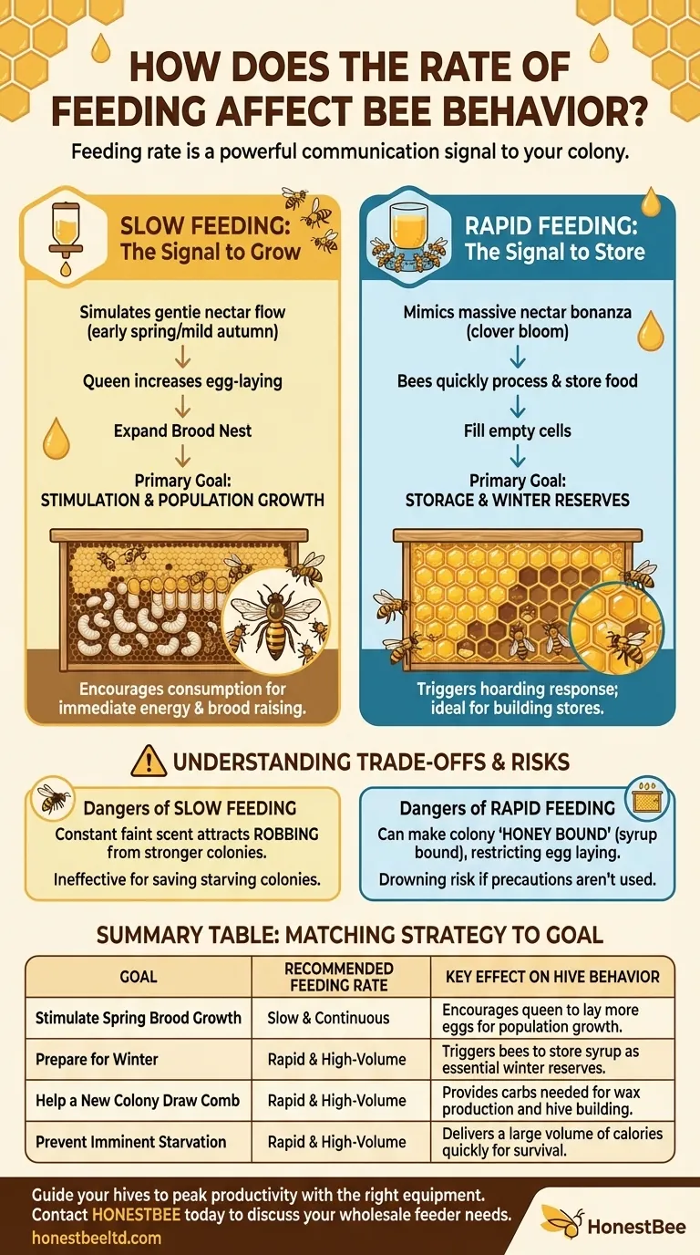 먹이 공급 속도가 꿀벌 행동에 미치는 영향은? 성장 촉진 또는 비축량 저장 가이드 시각적 가이드