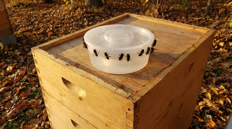 번식력이 낮은 벌 품종을 위한 가을 권장 먹이 공급 전략은 무엇인가요? 느린 먹이 공급으로 겨울 생존율 높이기