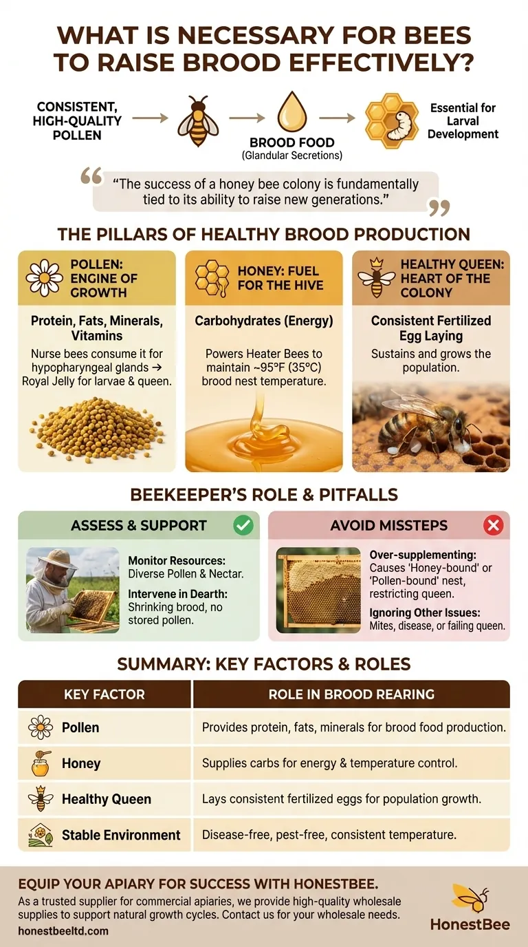 Cosa è necessario affinché le api allevino la covata in modo efficace? Nutrizione e Gestione Essenziali per un Alveare Prospero Guida Visiva