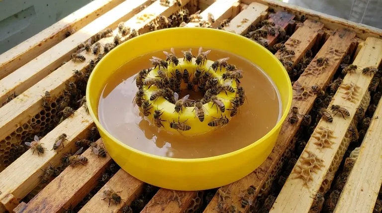 What are some reasons for feeding bees? A Guide to Strategic Hive Management