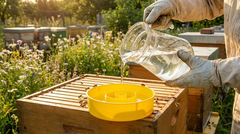 ما هي الطريقة الموصى بها لتغذية النحل؟ ضمان صحة المستعمرة بتغذية بطيئة وآمنة