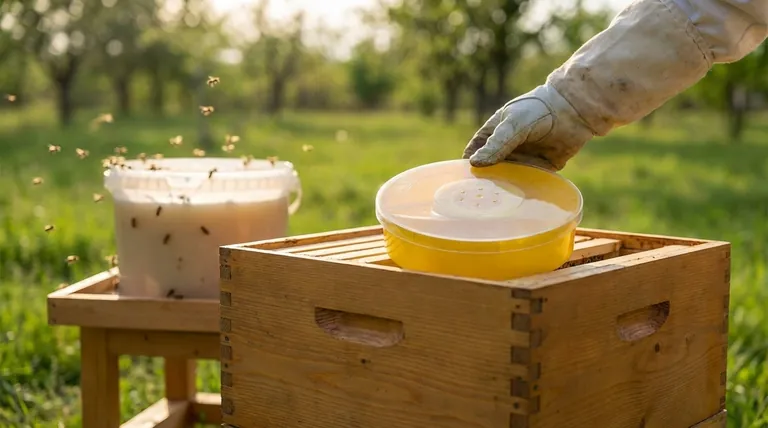 How is bee food prepared for both open and closed feeding methods? Master the Recipe & Strategy