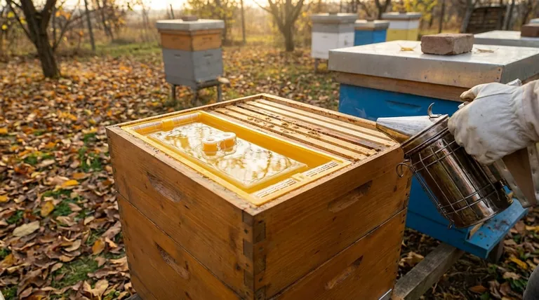 What are the three conditions under which a beekeeper might feed an established colony? Prevent Winter Starvation