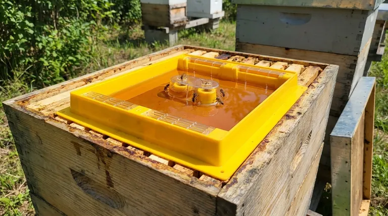 What are the advantages of using a hive-top feeder? Maximize Feeding Efficiency & Colony Safety